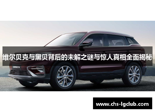 维尔贝克与黑贝背后的未解之谜与惊人真相全面揭秘